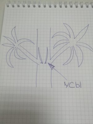 WhatsApp Image 2022-03-18 at 17.07.28.jpeg