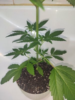 photo_2024-11-18_18-49-04 (3).jpg