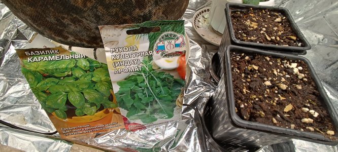 IMG_20241126_200544.jpg IMG_20241126_200544.jpg