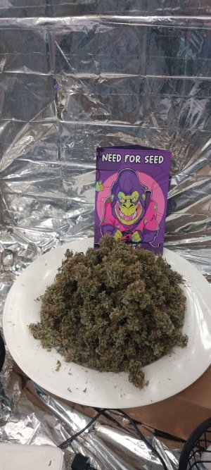 IMG_20250109_133358 (1).jpg