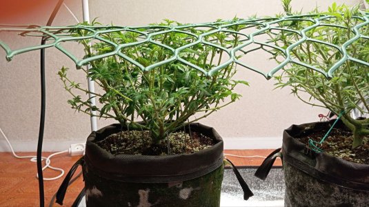 photo_2025-02-28_16-27-46 (2).jpg