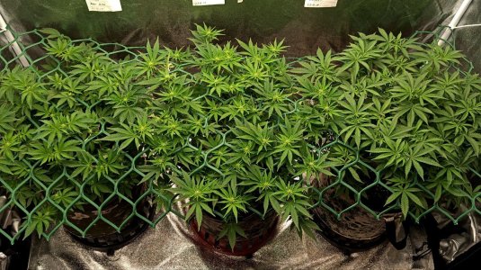 photo_2025-03-07_23-37-24 (3).jpg