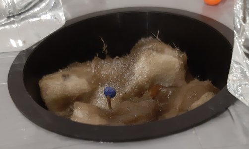 20250227_134620.jpg