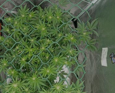 photo_2025-03-12_15-39-12 (2).jpg