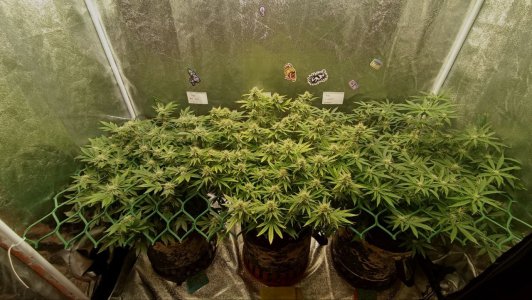 photo_2025-03-25_11-42-03 (2).jpg