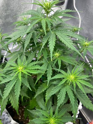 photo_2025-05-29_16-40-29 (2).jpg