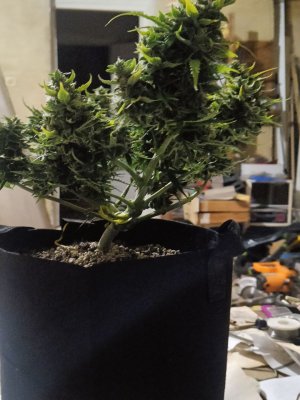 photo_2025-06-03_08-02-16 (2).jpg