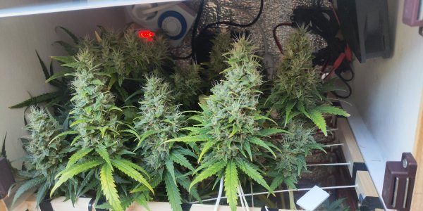 P50608-195728 (1).jpg