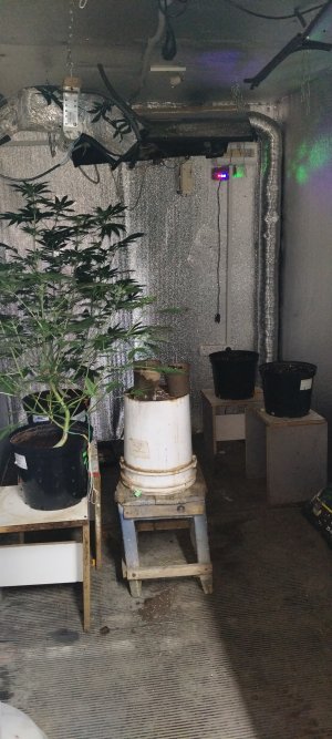 1444444.jpg 1444444.jpg