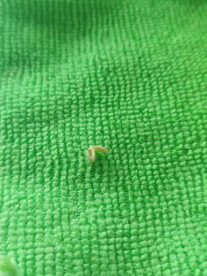 1000007837.jpg 1000007837.jpg