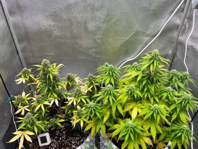 photo_2025-06-16_13-59-33 (2).jpg