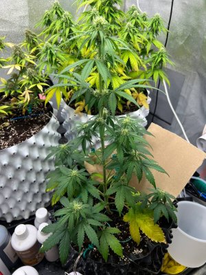 photo_2025-06-16_13-59-31 (2).jpg