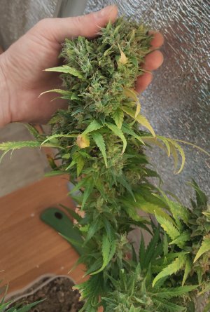 P50618-191419(1) (1).jpg