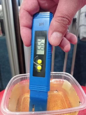 рН дренажа 6.07.25.jpg