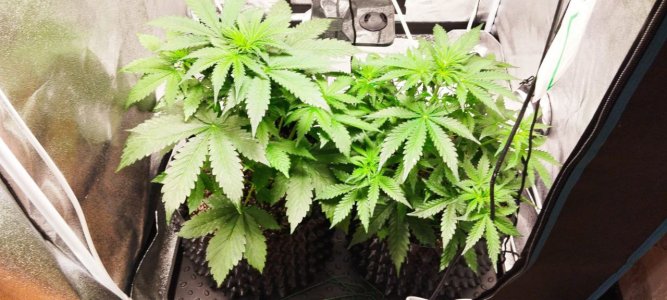 АК и КК 15.07.jpg