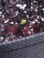 12.06.25 — копия.jpg