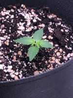 20.06.25 — копия.jpg