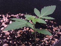 23.06.25 — копия.jpg