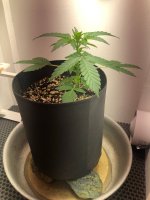 30.06.25 — копия.jpg