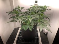 11.07.25 — копия.jpg