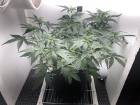 13.07.25 — копия.jpg