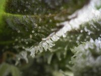 Photo_2025-09-02 17_37_35_103.JPG