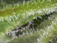 Photo_2025-09-02 17_38_53_725.JPG