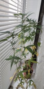 P50904-182036 (1).jpg