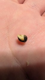 photo_2025-09-06_10-01-48 (2).jpg