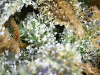 Photo_2025-09-10 19_27_55_479.JPG