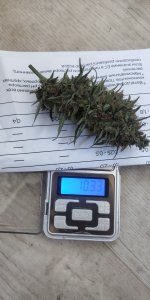 P50913-081308 (1).jpg