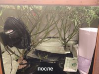 WhatsApp Image 2025-09-22 at 14.52.58.jpeg