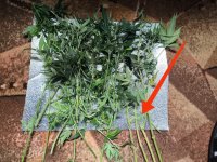 WhatsApp Image 2025-09-22 at 14.50.23.jpeg