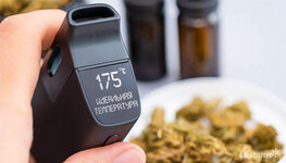 idealnaya-temperatura-dlya-veypa__GwDL6r23c5VNSjxi.jpg idealnaya-temperatura-dlya-veypa__GwDL6r23c5VNSjxi.jpg