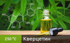 kvercetin__AXTT2AudVtlgYZPJ.jpg kvercetin__AXTT2AudVtlgYZPJ.jpg