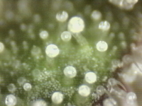 .trashed-1761190034-Photo_2025-09-20 17_12_48_704.png