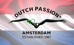 dutch-passion__S31zN98F6ym7q7ST.jpg