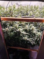 WhatsApp Image 2025-09-27 at 18.00.44.jpeg