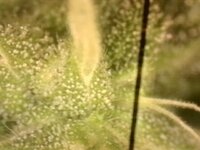 WhatsApp Image 2025-09-27 at 18.00.41.jpeg