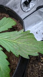 photo_2025-09-29_09-11-25 (2).jpg