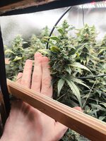 WhatsApp Image 2025-10-04 at 22.54.46.jpeg