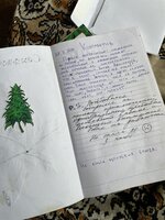 IMG_1062.jpeg
