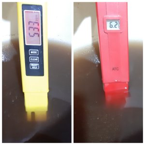 20220510 кокос из маяка.jpg