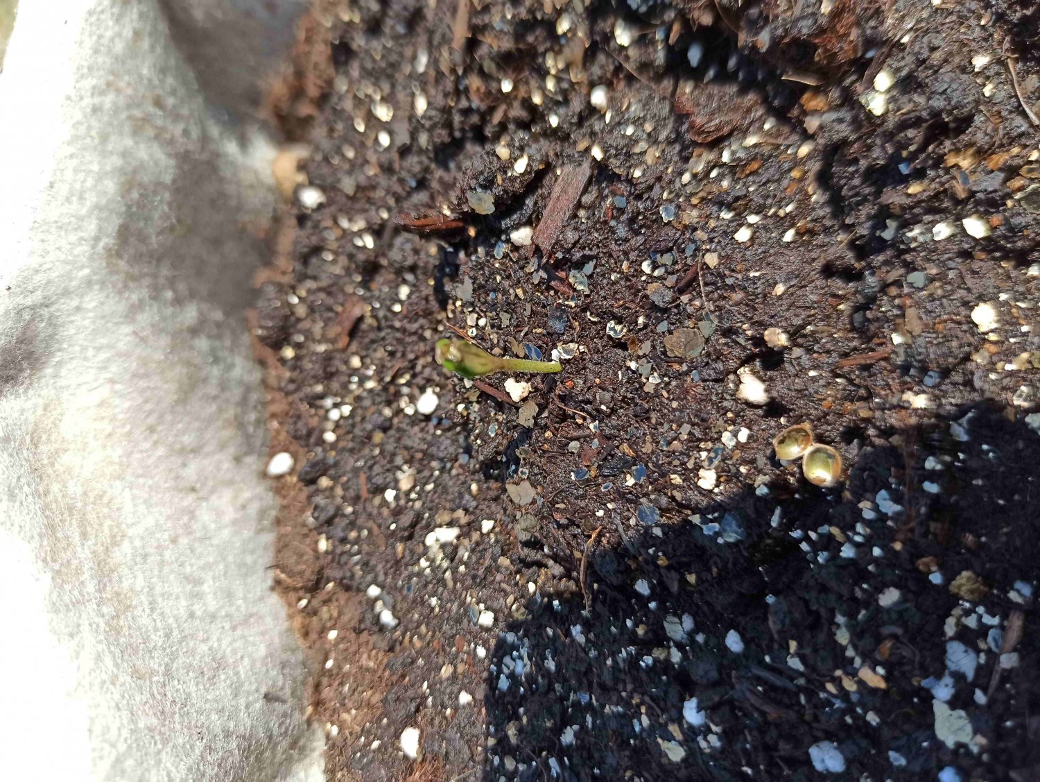 IMG_20220514_153707 (1).jpg