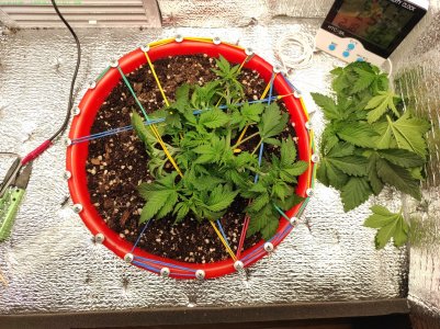 апывепвыап.jpg апывепвыап.jpg