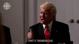 21212234.gif