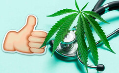 mnenie-potrebitelej-ob-ispolzovanii-marihuany-dlya-oblegcheniya-simptomov-prostudy-i-grippa__q...jpg