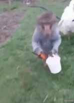 sticker (1)_resized_148x205.gif