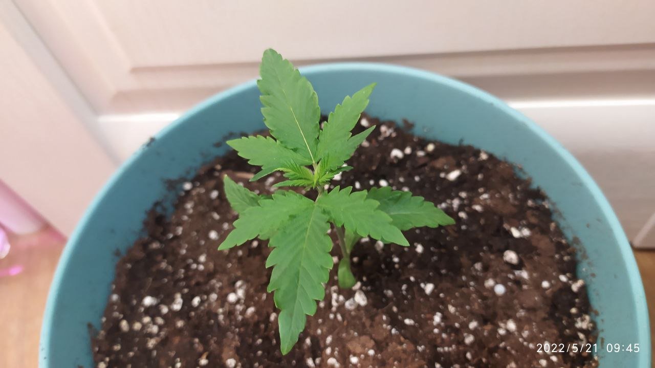 photo_2022-05-21_12-04-11 (3).jpg