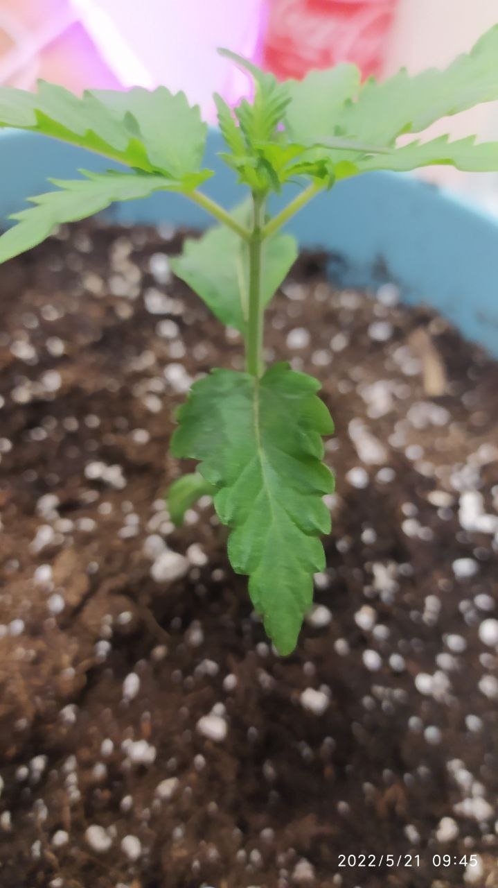 photo_2022-05-21_12-04-11 (2).jpg